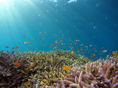 Giappone:  le isole remote di Okinawa